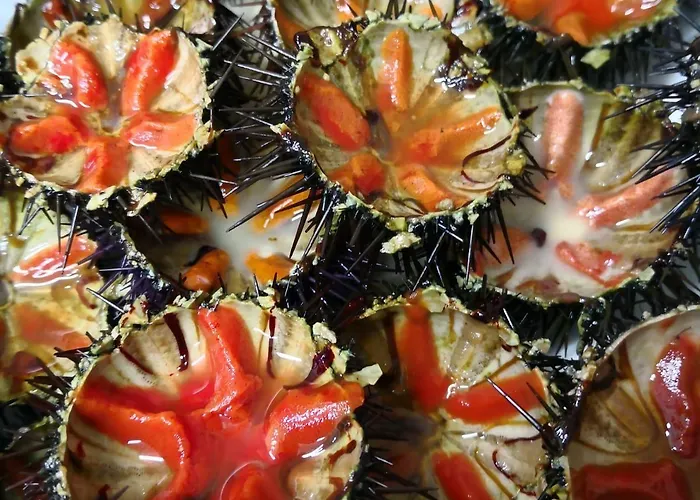 马塞里亚极乐世界旅馆 梅萨涅