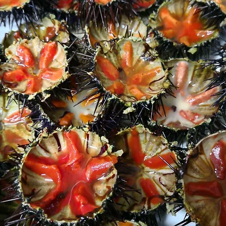 马塞里亚极乐世界旅馆 梅萨涅